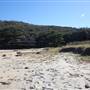 Munmorah State Conservation Area - Snapper Pt and Bongon Beach