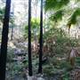 Munmorah State Conservation Area - Palms Picnic Area