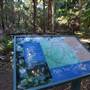Munmorah State Conservation Area - Palms Picnic Area