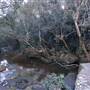 Somersby Falls picnic area - Brisbane Water National Park