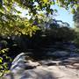 Somersby Falls picnic area - Brisbane Water National Park