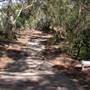 Govetts Leap Lookout & Evans Lookout - Blue Mountains National Park