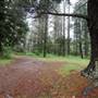 Jenolan State Forest