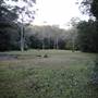 Red Cedar Flat picnic area