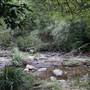 Red Cedar Flat picnic area