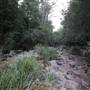 Red Cedar Flat picnic area