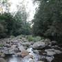 Red Cedar Flat picnic area