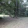 Red Cedar Flat picnic area