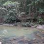 Red Cedar Flat picnic area