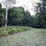 Red Cedar Flat picnic area