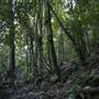 Mount Keira Scout Camp File 1