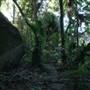 Mount Keira Scout Camp File 1