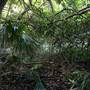 Mount Keira Scout Camp File 1