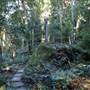 Mount Keira Scout Camp File 1