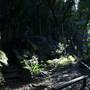 Mount Keira Scout Camp File 1