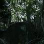 Mount Keira Scout Camp File 1