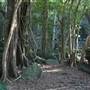 Mount Keira Scout Camp File 1