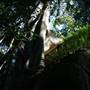 Mount Keira Scout Camp File 1