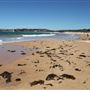 Long Reef Beach
