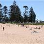 Mona Vale Beach