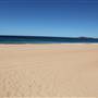 Narrabeen Beach