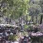 Arakoon Private Property