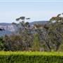 Lilianfels Resort & Darley's Restaurant