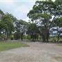 Rookwood Cemetery