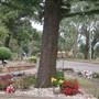 Rookwood Cemetery