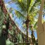 The Calyx - Royal Botanic Garden Sydney
