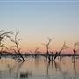 Lake Pamamaroo