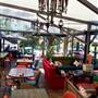 Tree House Byron
