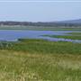 Bega Valley Area