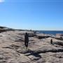 Cape Solander