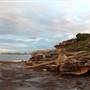 Freshwater Beach & Rockpool