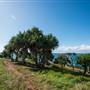 Fingal Head Lighthouse & Coastal Reserve