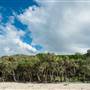 Fingal Head Lighthouse & Coastal Reserve