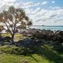 Hastings Point