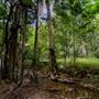 Tunsted Private Property Crystal Creek Valley