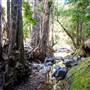 Tunsted Private Property Crystal Creek Valley