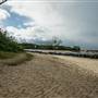 Brunswick Head Estuaries 2017