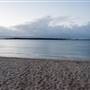 Hickey Island - Yamba