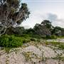 Hickey Island - Yamba