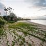 Hickey Island - Yamba