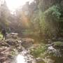 Killen Falls
