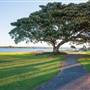 Ballina