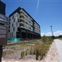 Harold Park Tramsheds & Residential Apartments