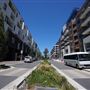 Harold Park Tramsheds & Residential Apartments