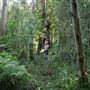 Private Property - Upper Colo