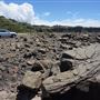 Bombo Headland Quarry